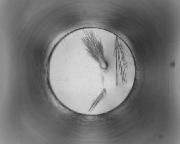 X0000111671144200908281105