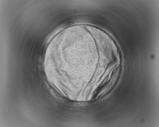 X0000111671145200908281105