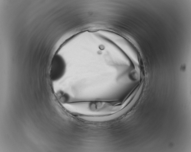 X0000111671146200908281105