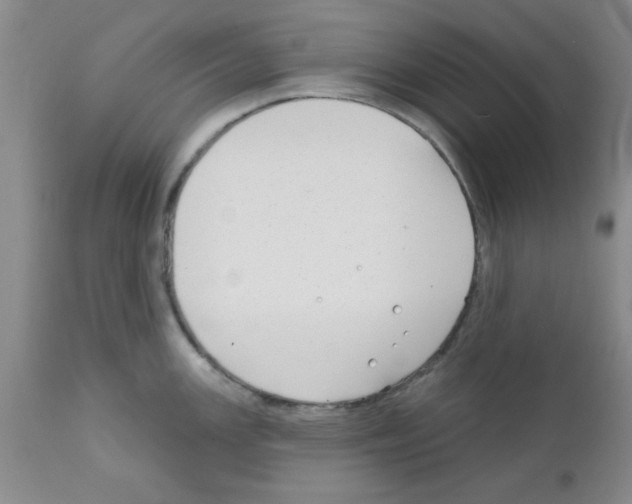 X0000111671147200908281105