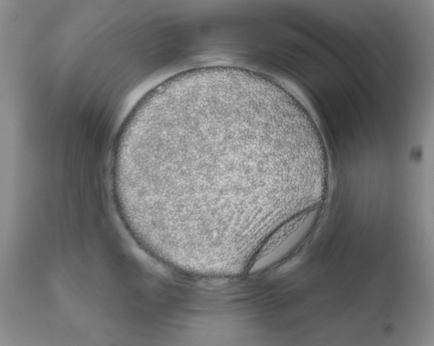 X0000111671149200908281105