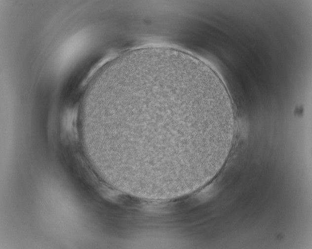 X0000111671150200908281105