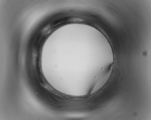 X0000111671151200908281105