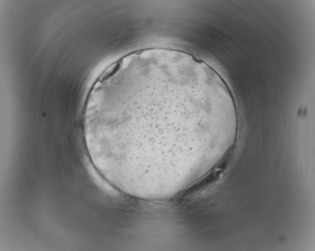 X0000111671152200908281105