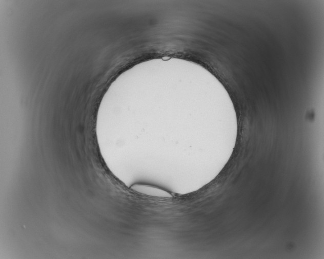 X0000111671153200908281104