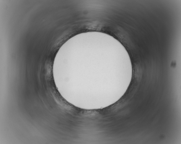 X0000111671154200908281104