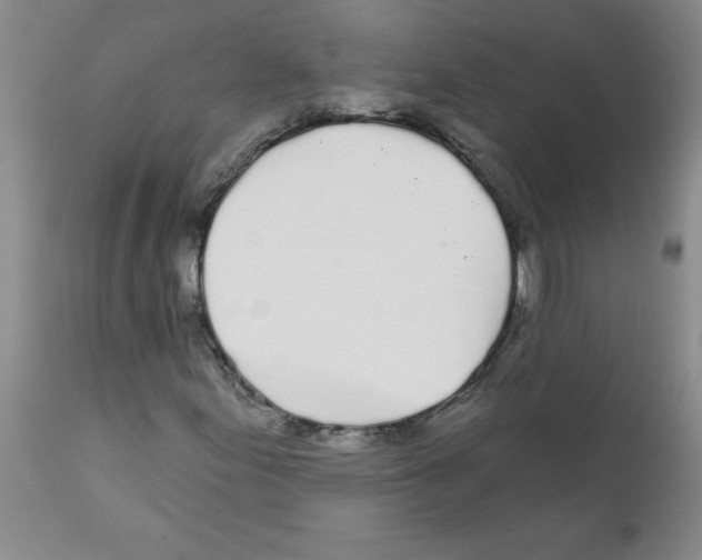 X0000111671155200908281104