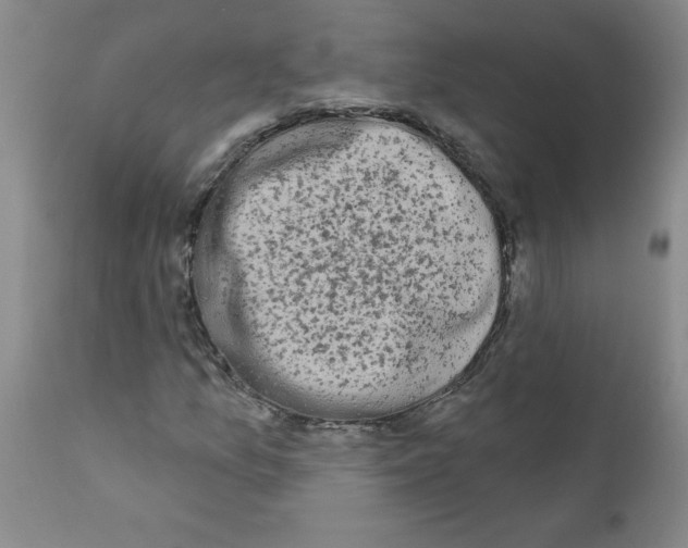 X0000111671157200908281104