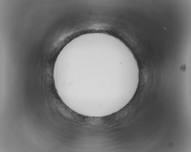 X0000111671158200908281104