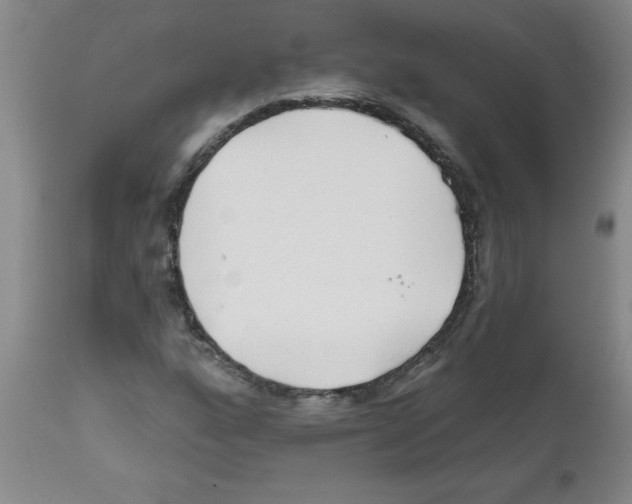 X0000111671160200908281104