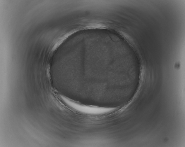 X0000111671161200908281104