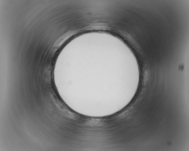 X0000111671162200908281104