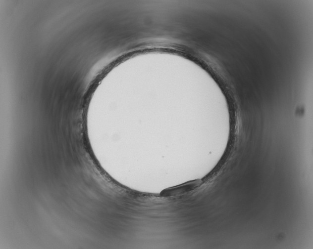 X0000111671164200908281104