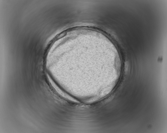 X0000111671165200908281104