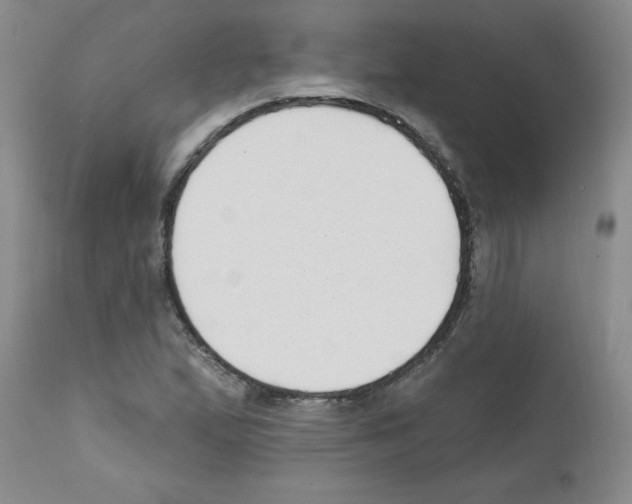 X0000111671167200908281104