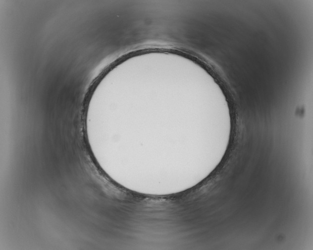 X0000111671168200908281104