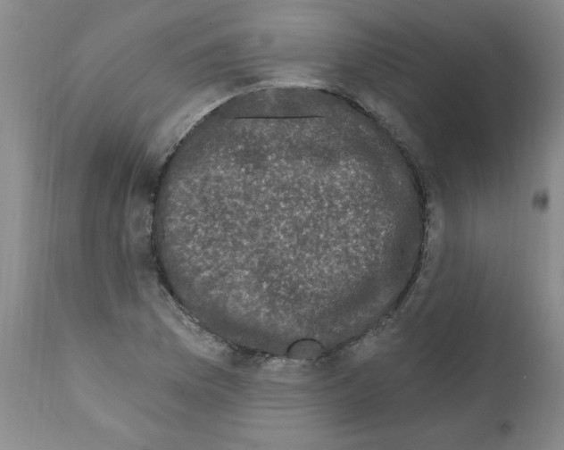 X0000111671169200908281104