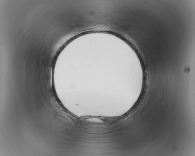 X0000111671171200908281104