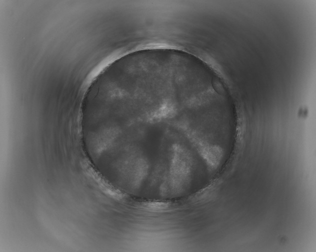 X0000111671173200908281104