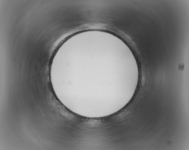 X0000111671174200908281104