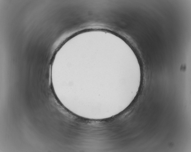 X0000111671175200908281104