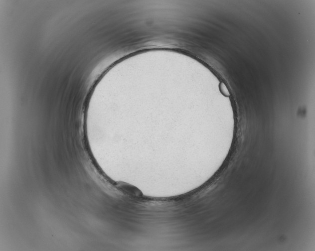 X0000111671179200908281104