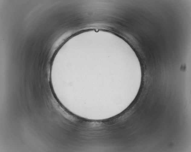 X0000111671180200908281104