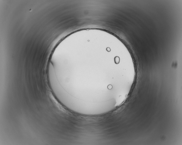 X0000111671181200908281104