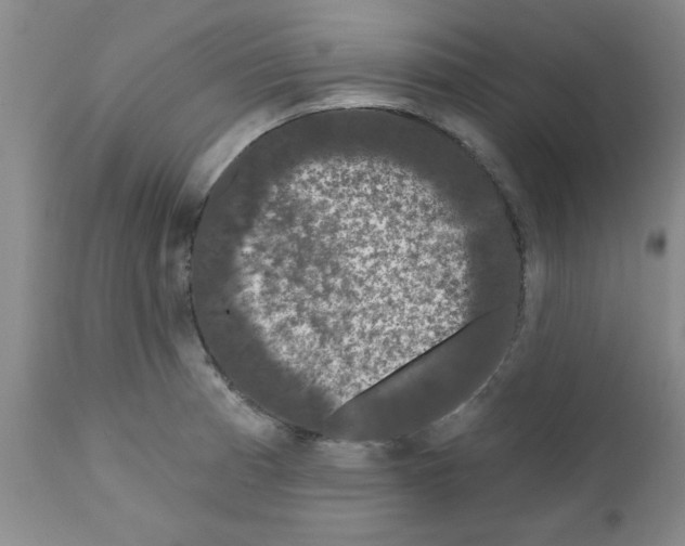 X0000111671185200908281104