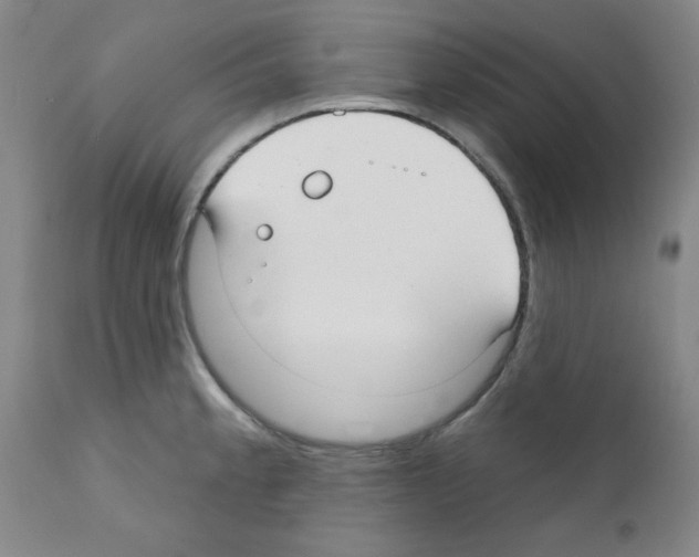 X0000111671189200908281103