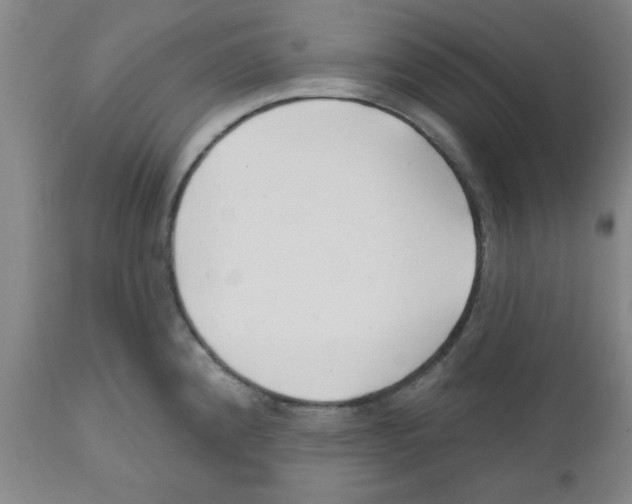 X0000111671192200908281103