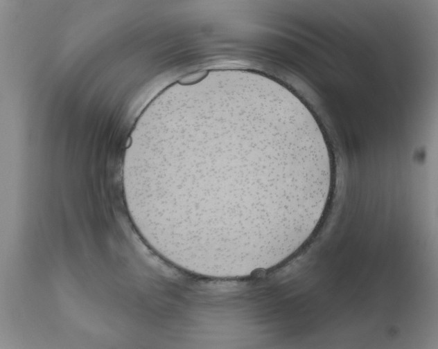 X0000111671193200908281103