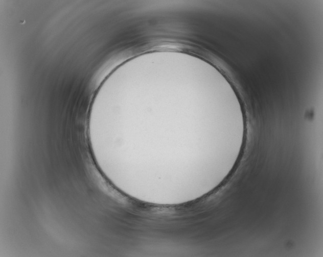 X0000111671194200908281103