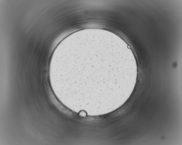 X0000111671195200908281103