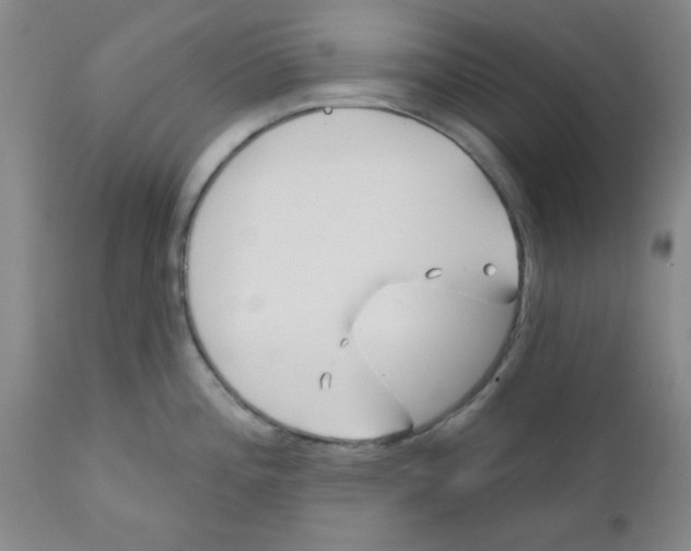 X0000111671196200908281103