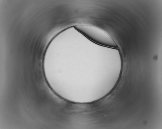 X0000111671197200908281103