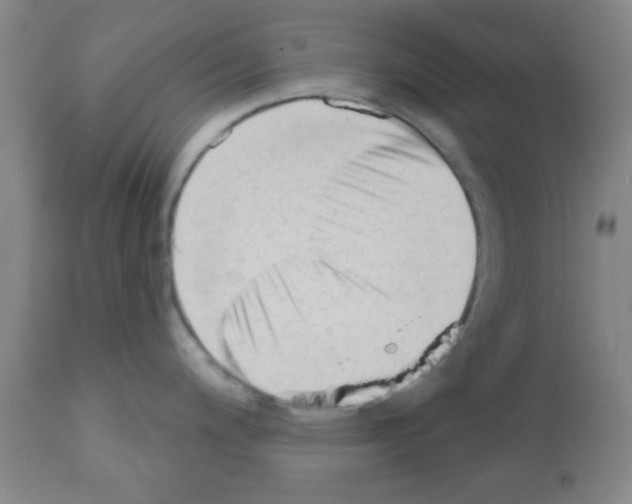 X0000111671200200908281103