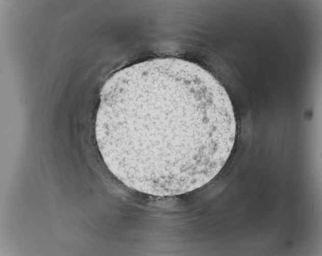 X0000111671201200908281103