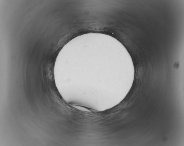 X0000111671202200908281103