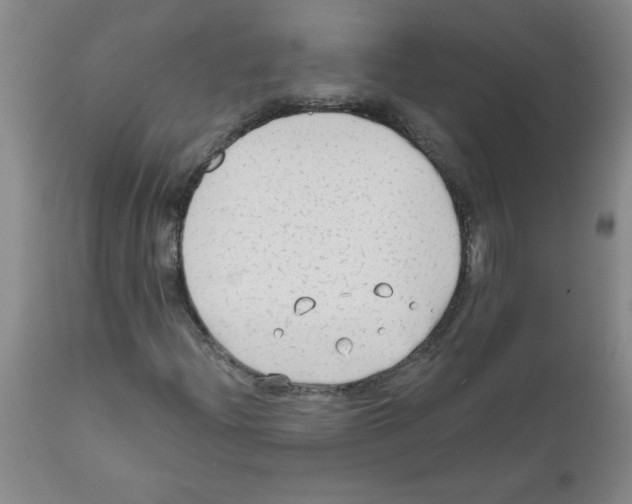 X0000111671204200908281103