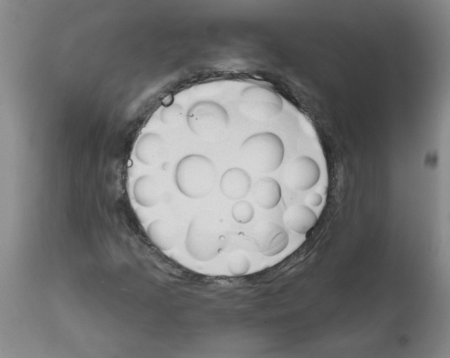 X0000111671205200908281103