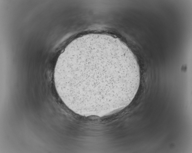 X0000111671206200908281103