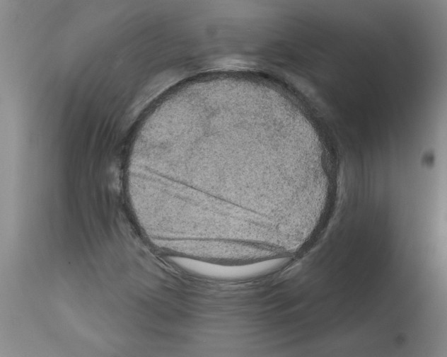 X0000111671209200908281103