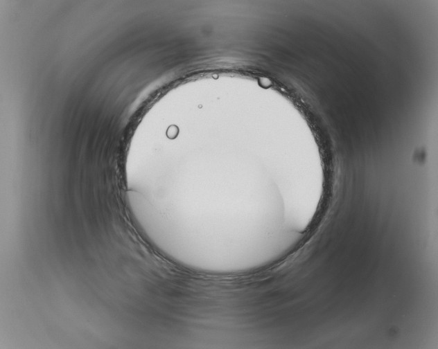 X0000111671210200908281103