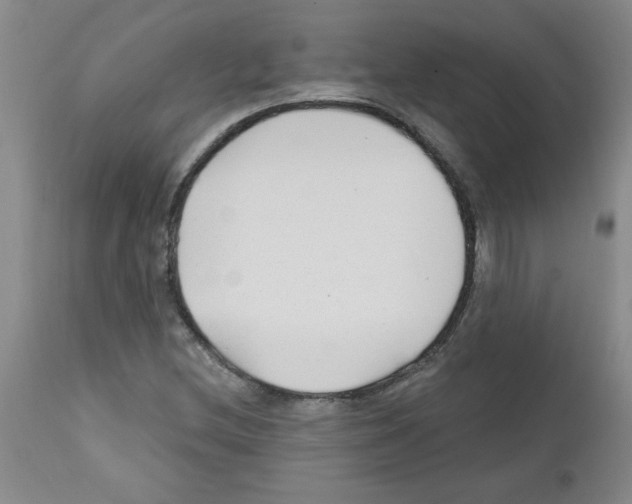 X0000111671212200908281103