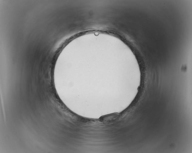 X0000111671214200908281103