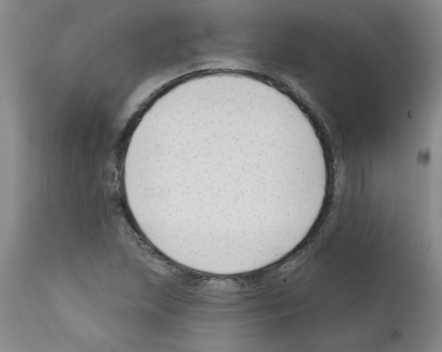 X0000111671215200908281103