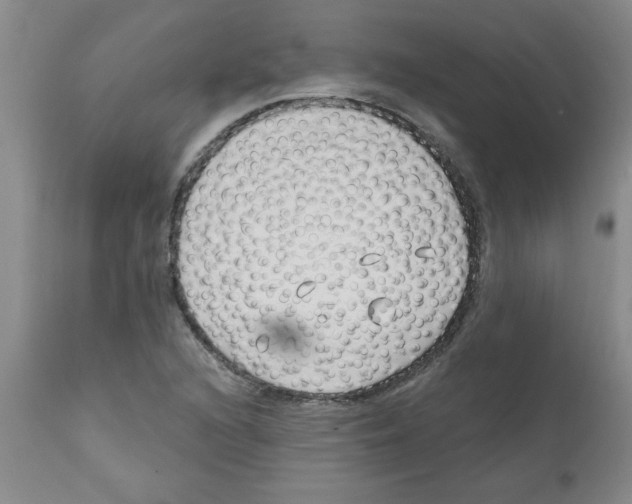 X0000111671216200908281103