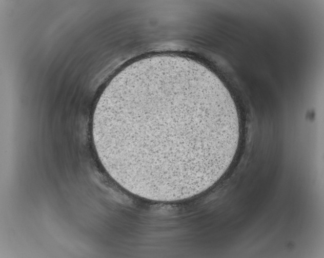 X0000111671217200908281103