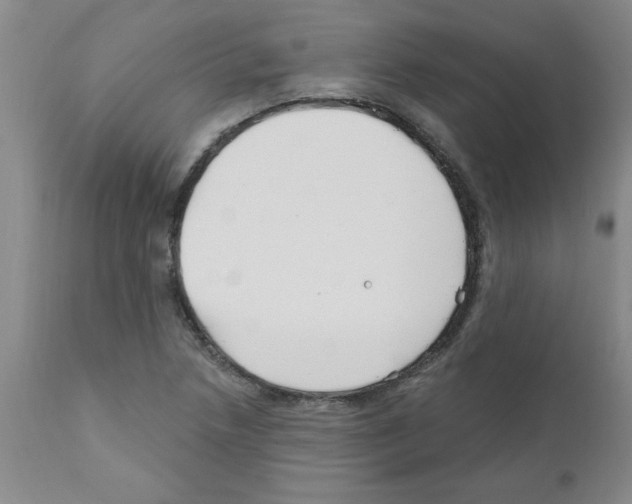 X0000111671218200908281103